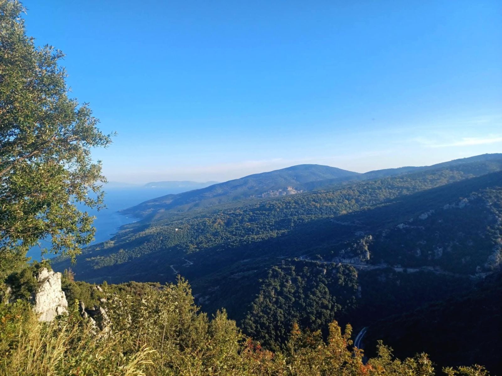 Θέα στο δάσος και το Αιγαίο από την Πρόπαν